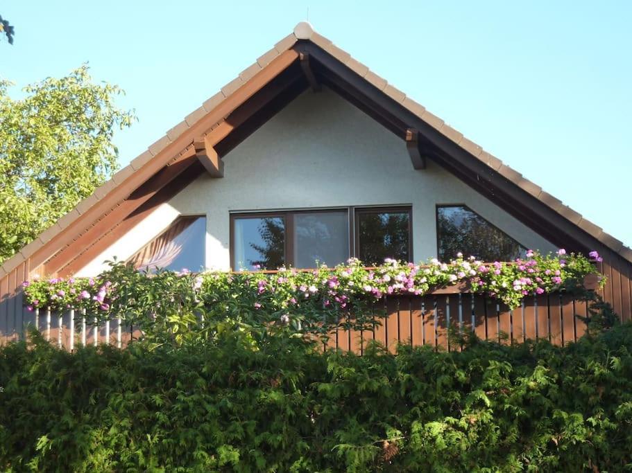 Ferienwohnung Am Stadtrand Von Berlin Neu Buch Esterno foto